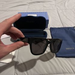 Gucci Sunglasses 