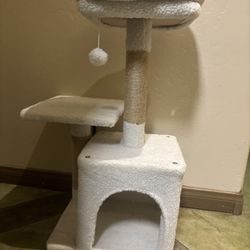 Cat Tree Paradise
