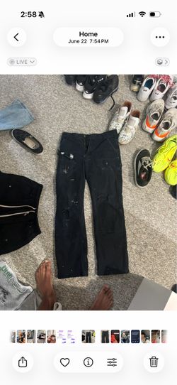 carhartt pants
