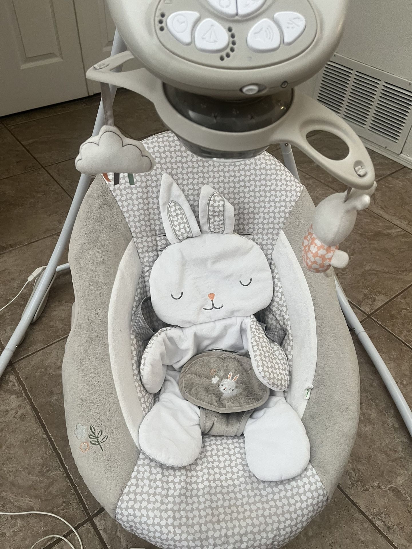 Ingenuity Baby Swin
