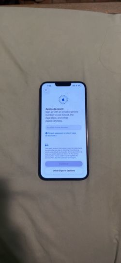 Blue iPhone pro max