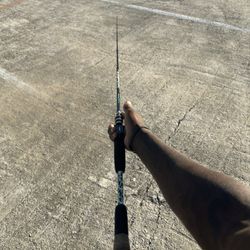 Diawa Baitcaster Rod 