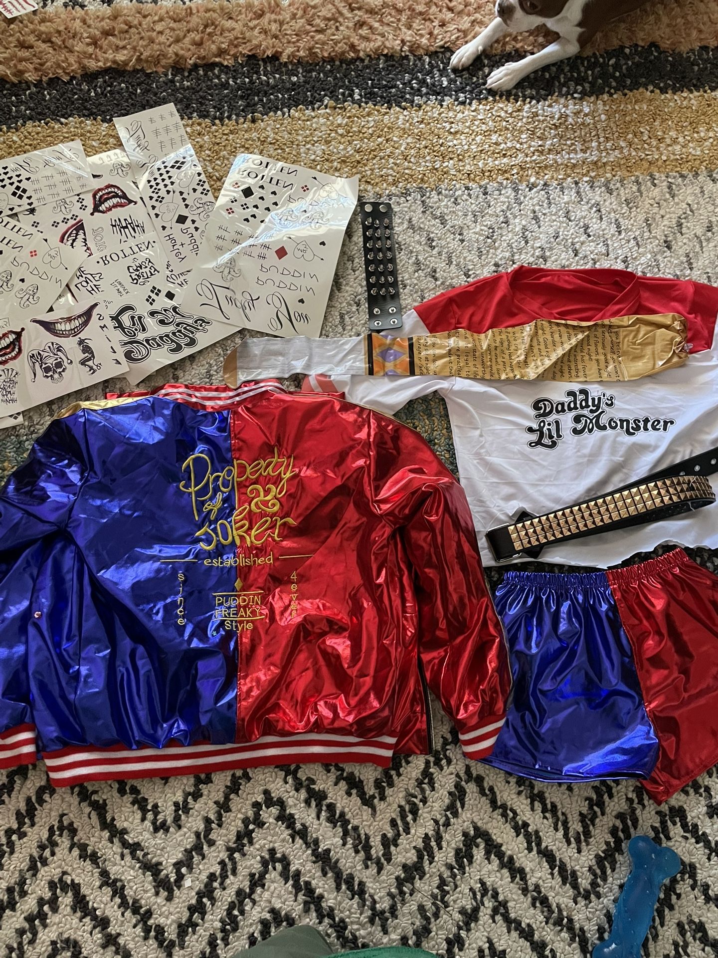 Harley Quinn Costume