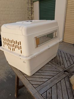 Large Hard-Shell Pet Travel Crate