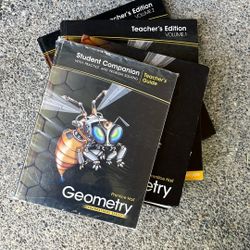 Geometry Books - Great For Summer School