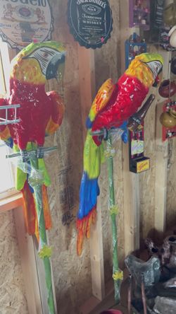 3ft Pájaros