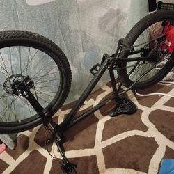 Big boy Tire Mountain Bike With Costome Parts