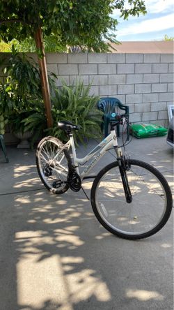 RoadMaster Bike