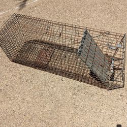 Catch And Release Trap