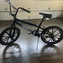Mongoose