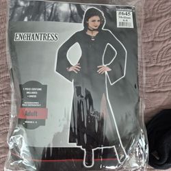 Enchantress Halloween Costume & Accessories  Size Medium 