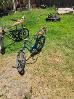 Schwinn