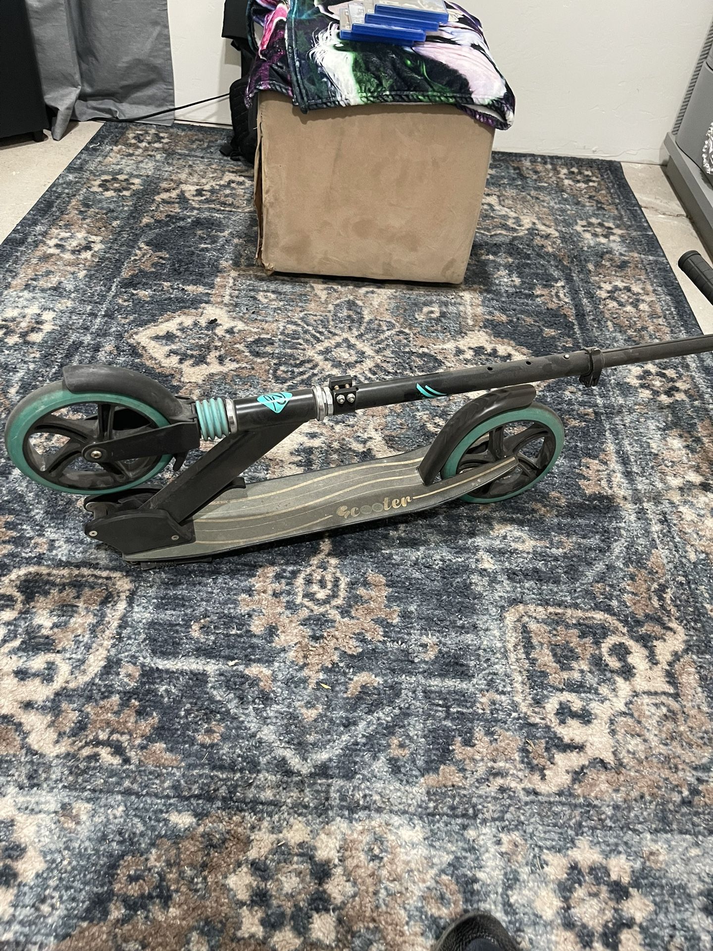 Adult Sized Scooter