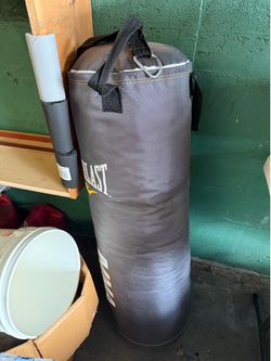 Everlast punching bag
