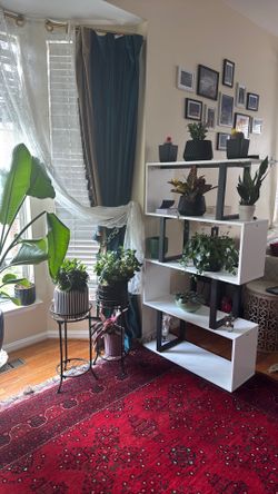 Modern 5-Tier S-Shaped Geometric Bookshelf