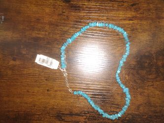 Turquoise Necklace Originally Bought At Mervyn's .