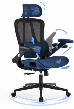 Ergonomic Mesh Office Chair with Lumbar Support
