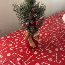 Christmas Decor