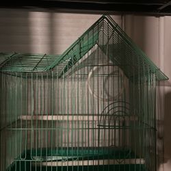 Bird Cage 