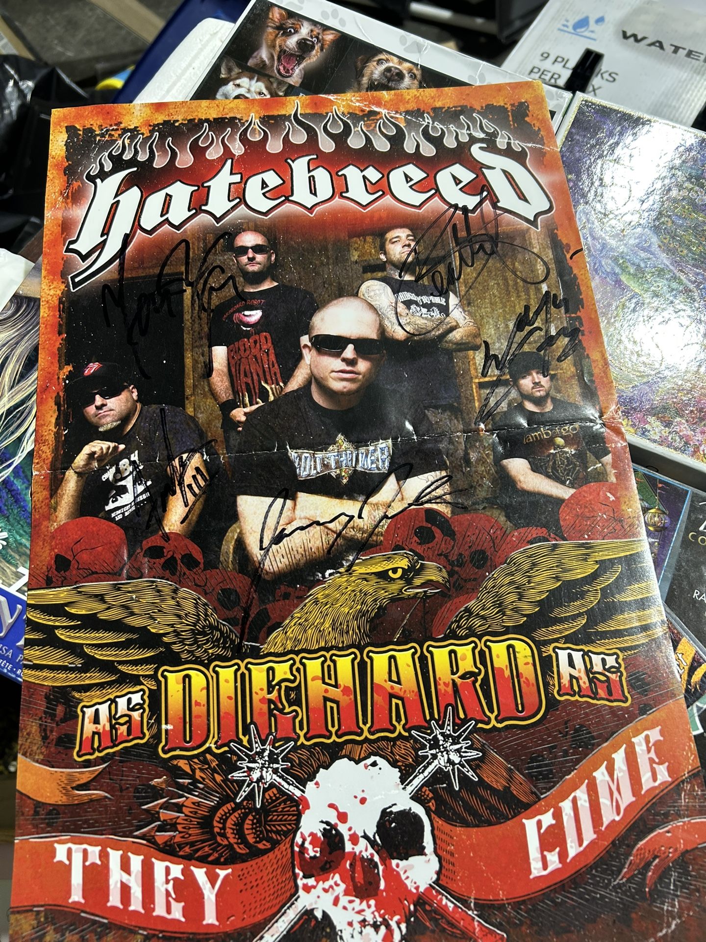 Hatebreed Signatures ; Trades Alright ; Negotiable 