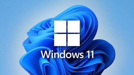 Fresh Windows 11 Install Fully Activated