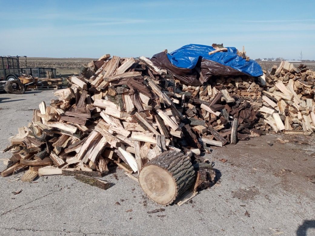Firewood