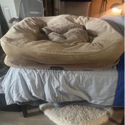 Great Deal Good Condition BIG Beige Beauty Rest Dog 🐕 Bed 🛌 