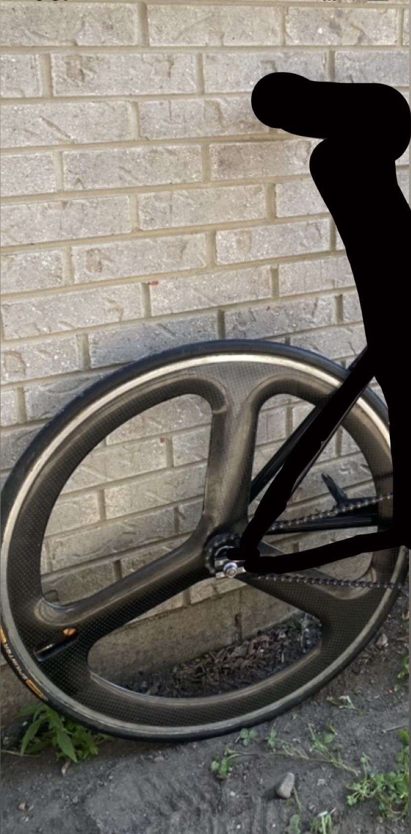 Carbon Tri Spoke (14T)