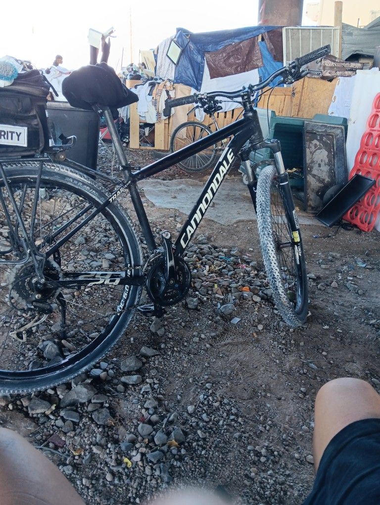 Cannondale Trail 5 29" Tires 53 Cm Frame