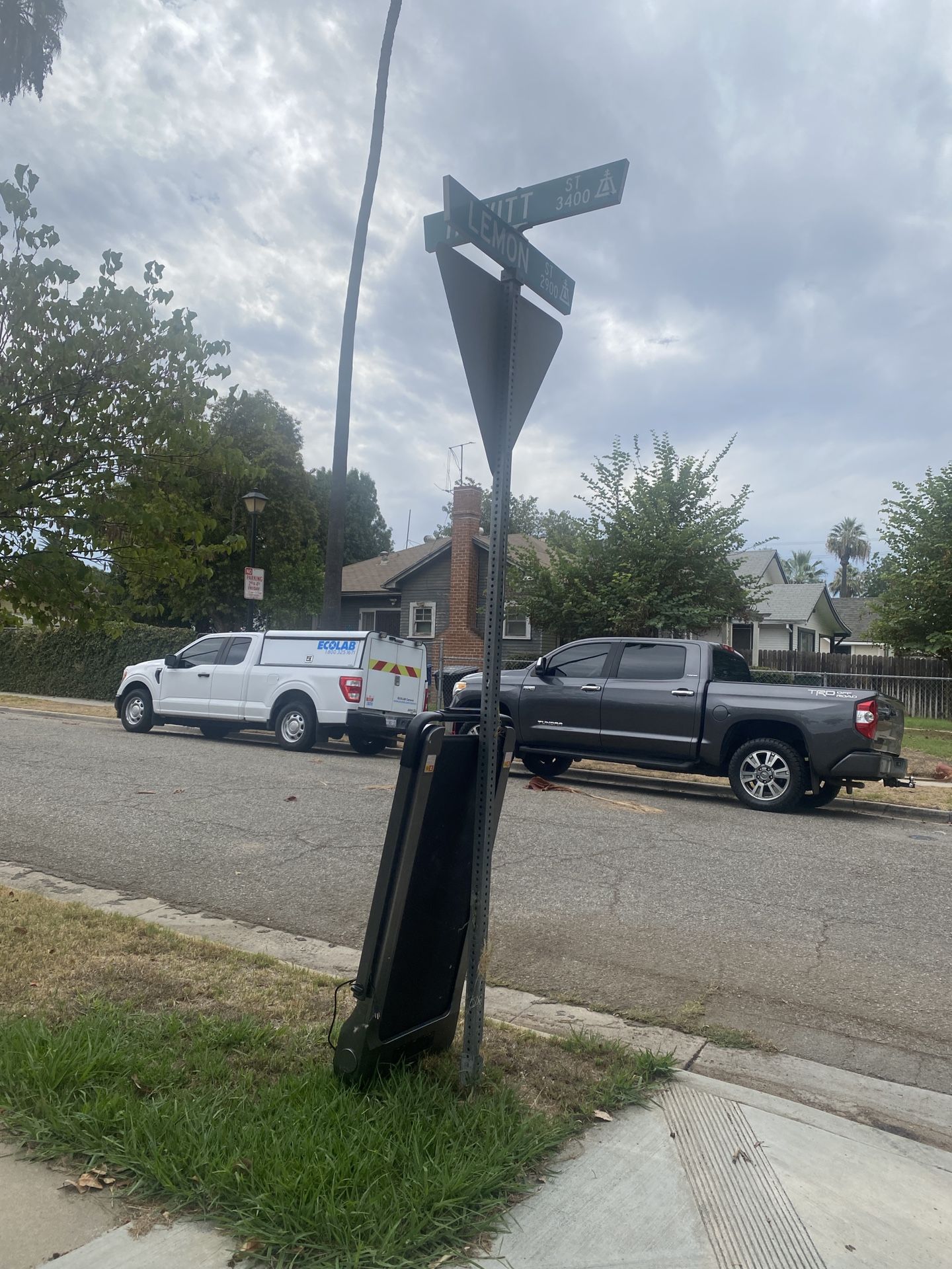 Free Treadmill
