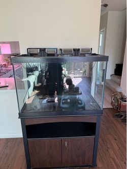 60gal tank