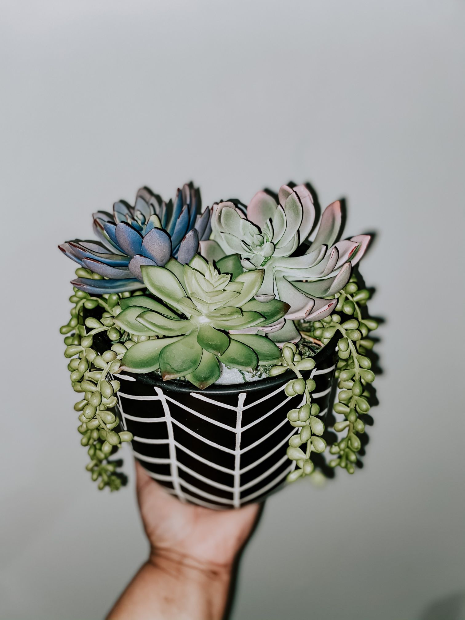 artificial succulent arrangement