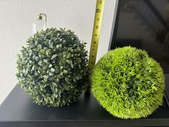 Boxwood And Grass Balls 
