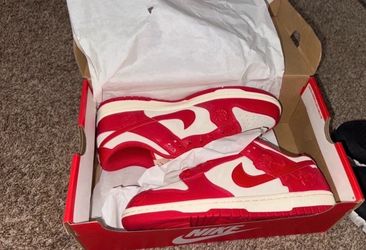 New in box women’s dunks size 9