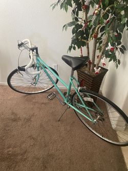 Schwinn 10 Speed Bike