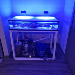 50 Gallon Shallow Reef Tank With Everything Included