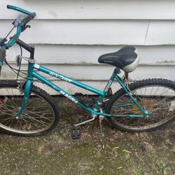 Girl's Mountain Bike 