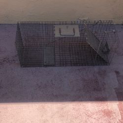Animal Trap 