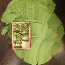 8 Placemats And Napkin Rings