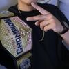 The WWE Toy Guy 