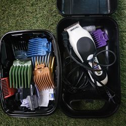 Wahl Clippers