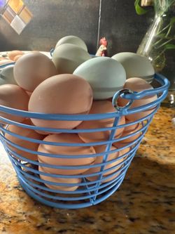 5 for a Dozen