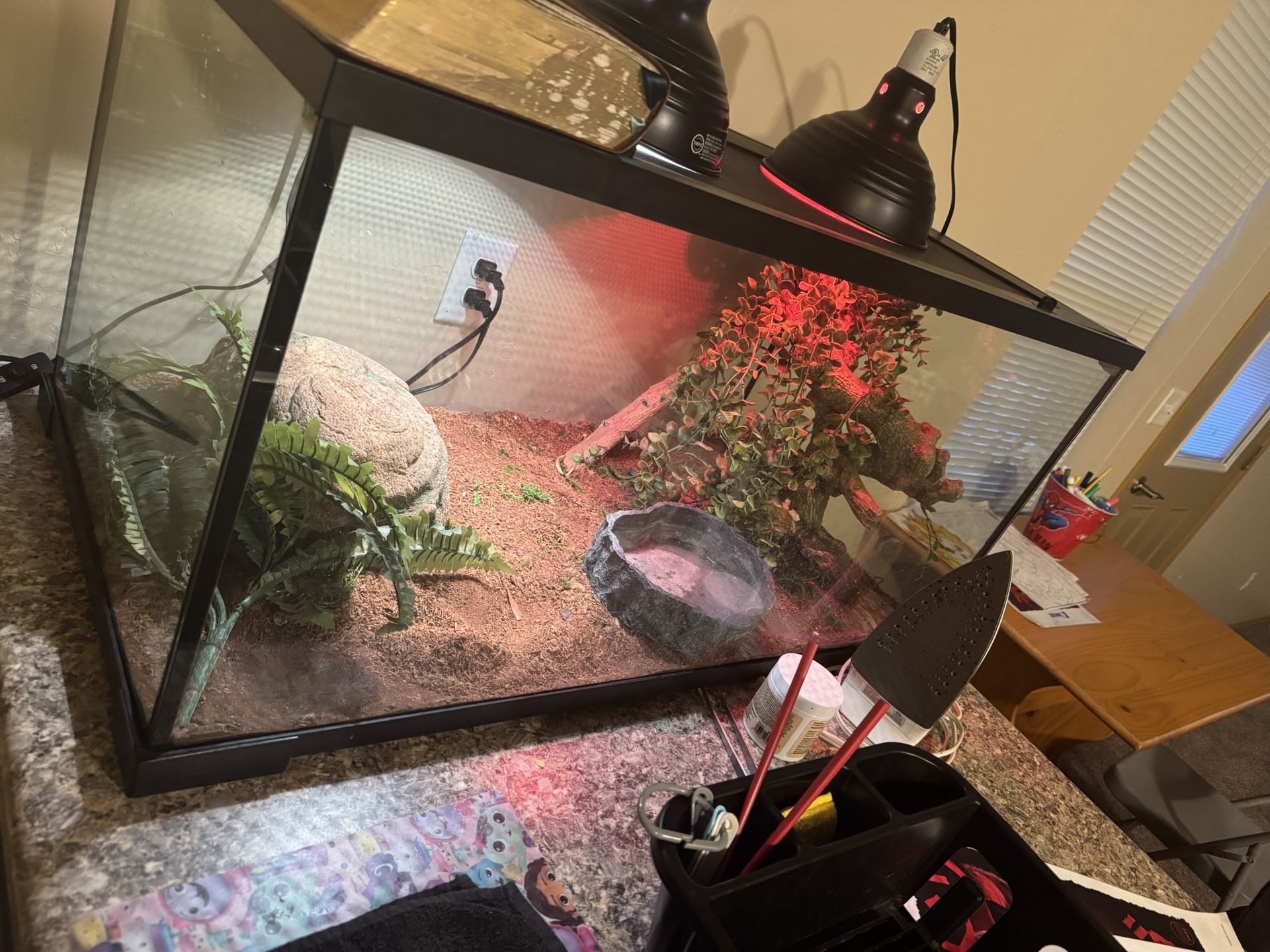 50 Gallon Tank