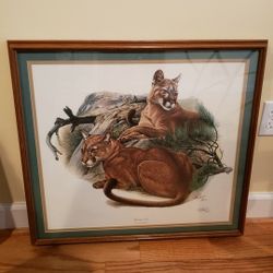"Mountain Lion" By Richard Timm- Framed Print-27" X  25"