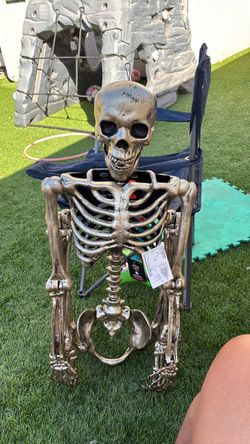 Skeleton