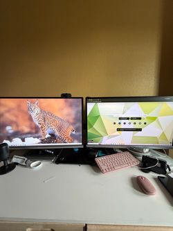 Dual Monitor Setup