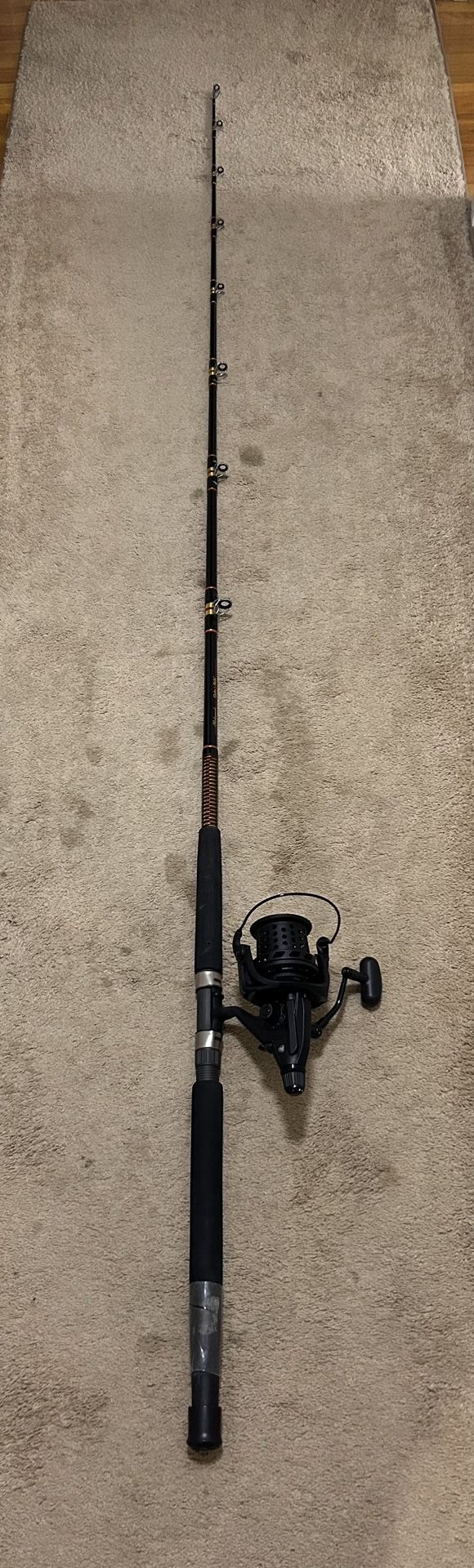 Fishing Rod N Reel