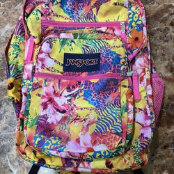 JanSport Backpack / Like New 