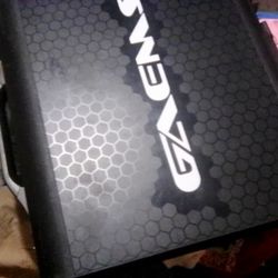 GAEMS