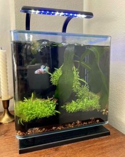 3 Gallon Aquarium / Fish Tank